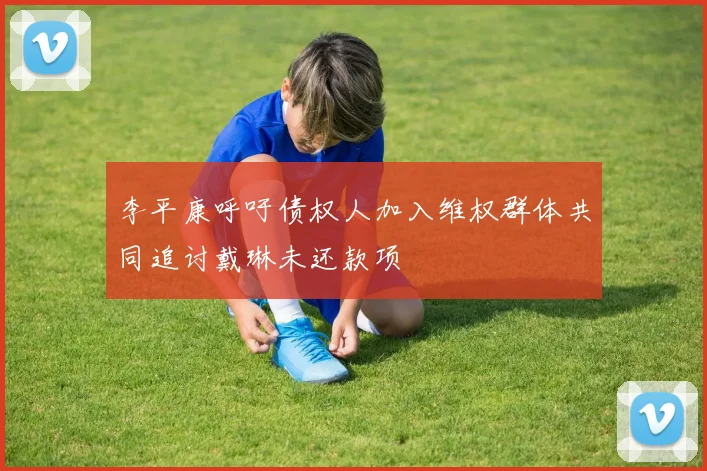 李平康呼吁债权人加入维权群体共同追讨戴琳未还款项
