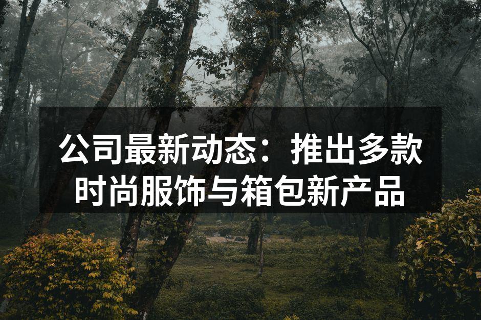 新款箱包展示